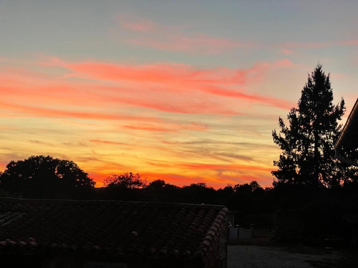 Maison Hirondelles Gites Mezieres-sur-Issoire エクステリア 写真