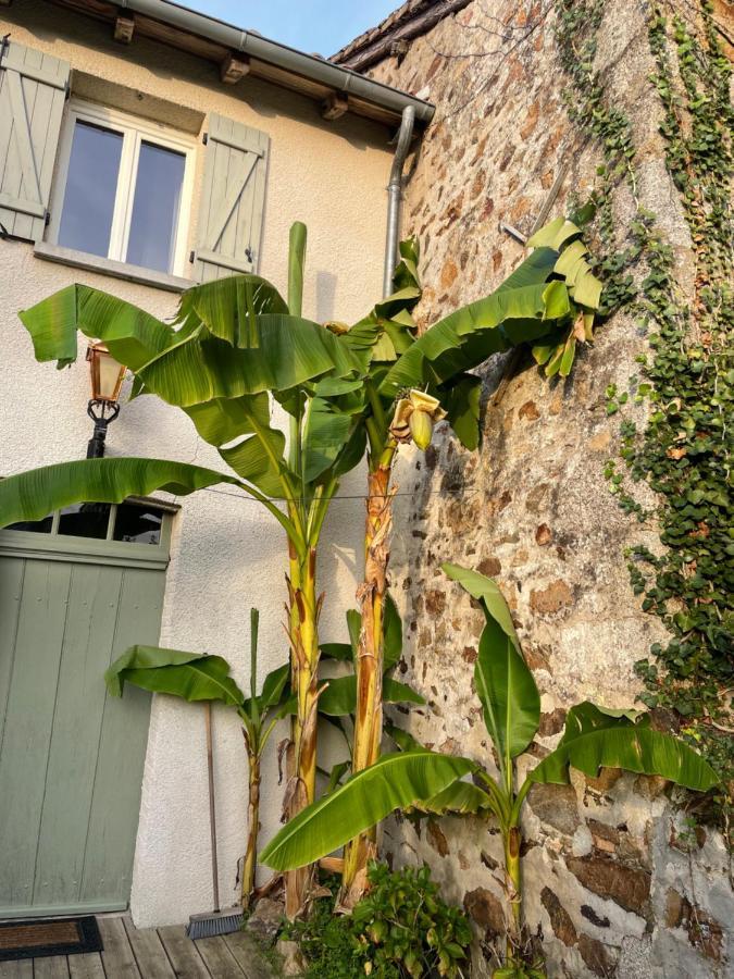 Maison Hirondelles Gites Mezieres-sur-Issoire エクステリア 写真